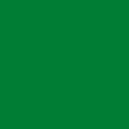Яркий зеленый однотонный